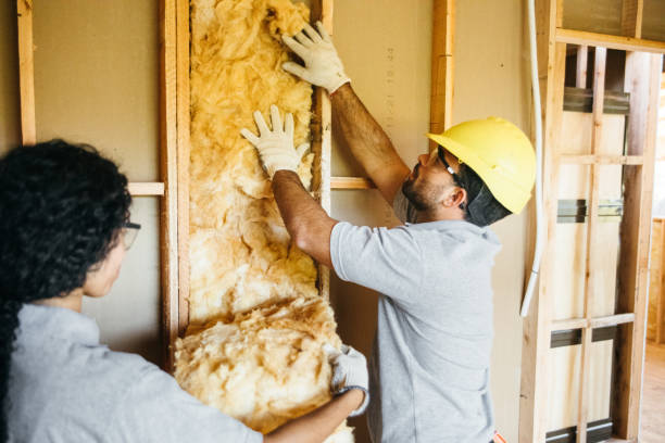 Best Radiant Barrier Insulation  in Aubrey, TX